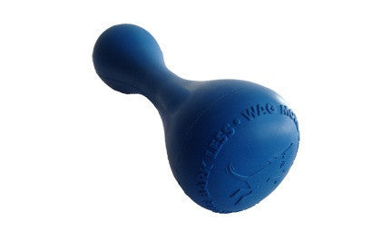 Fetch Bone (blue)